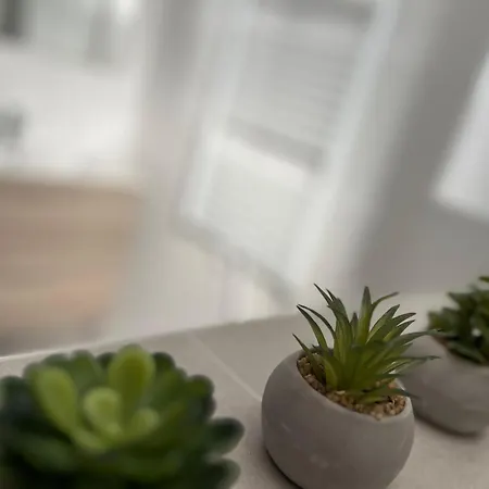 Catalina Appartement *