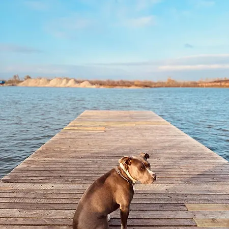 Appartement Catalina *