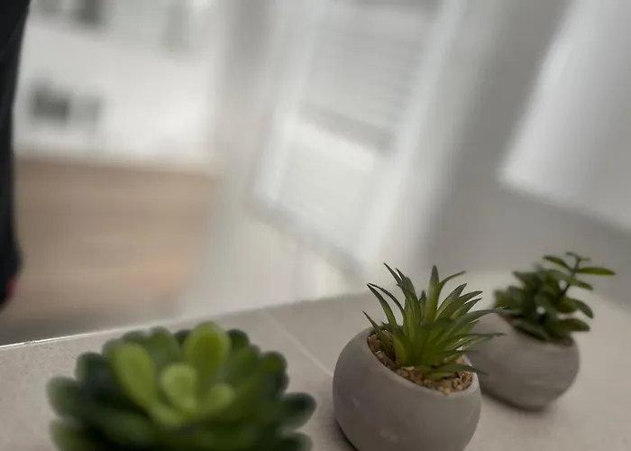 Catalina 아파트 *