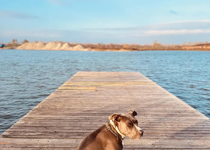 아파트 Catalina *